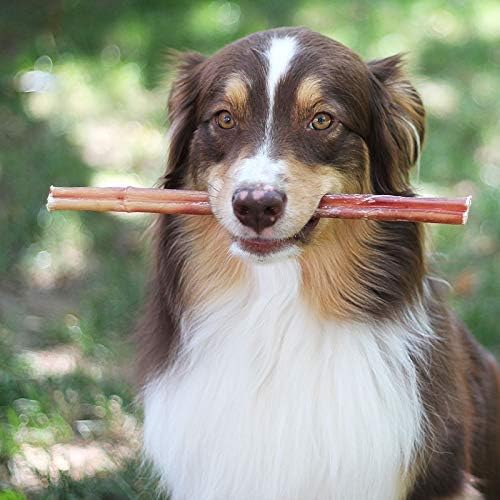 a 100% Natural Brazilian Bully Sticks - 1 lb Bag  10.00% Off Auto renew