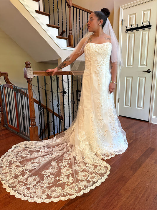 A Sleeveless lace gown