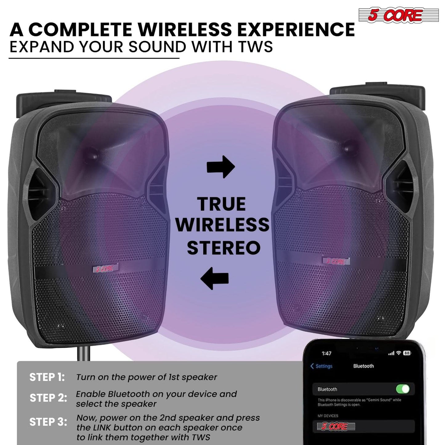 5Core 10 inch PA Portable Bluetooth Party Speaker Karaoke Boombox + 2 Wireless Mics 2 PCS-1